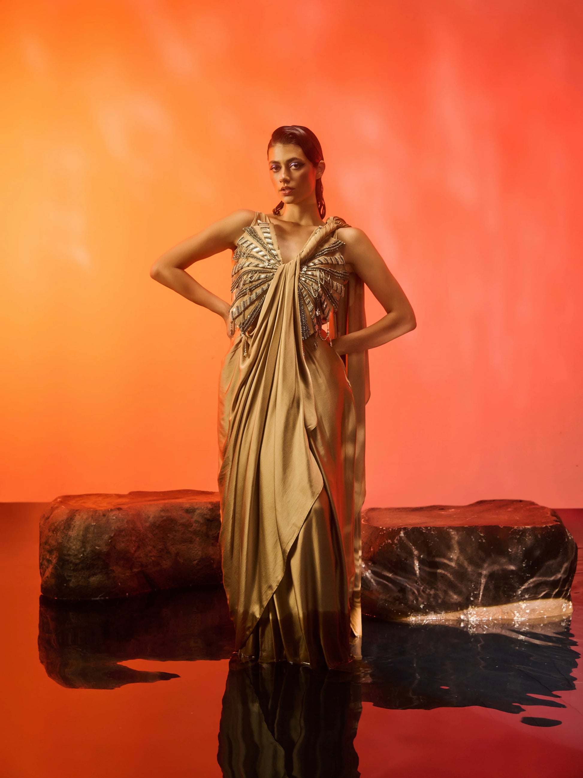 Golden Horizon Saree Gown back view