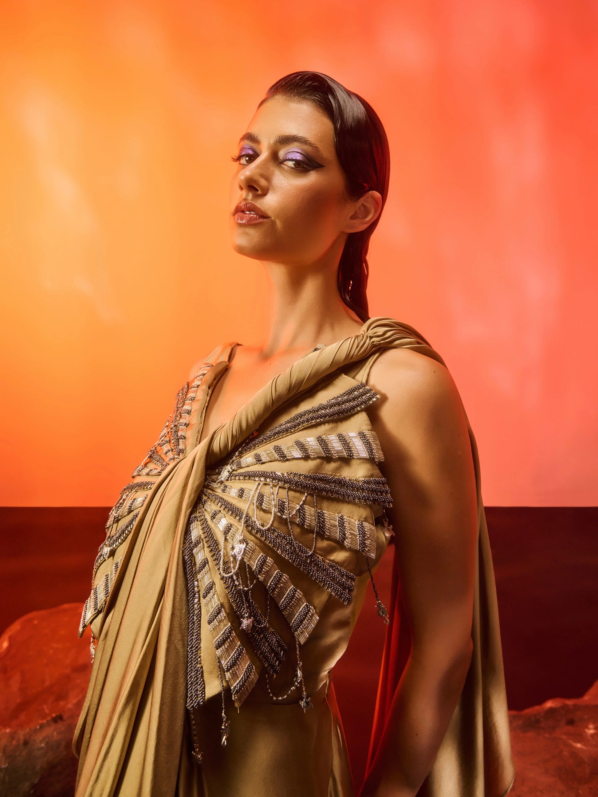 Golden Horizon Saree Gown detail